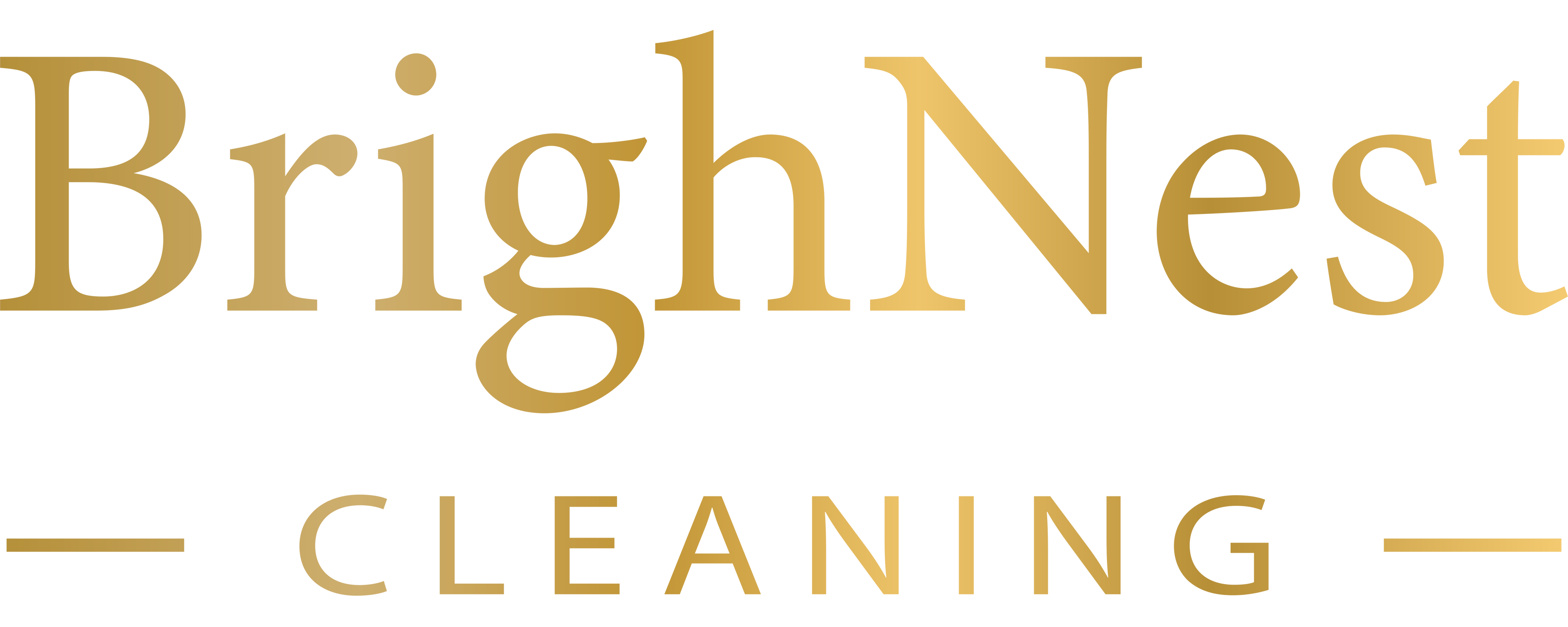 BrighNest Cleaning