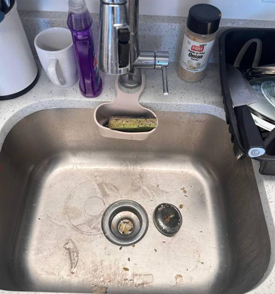 Kitchen sink deep clean — before cleaning