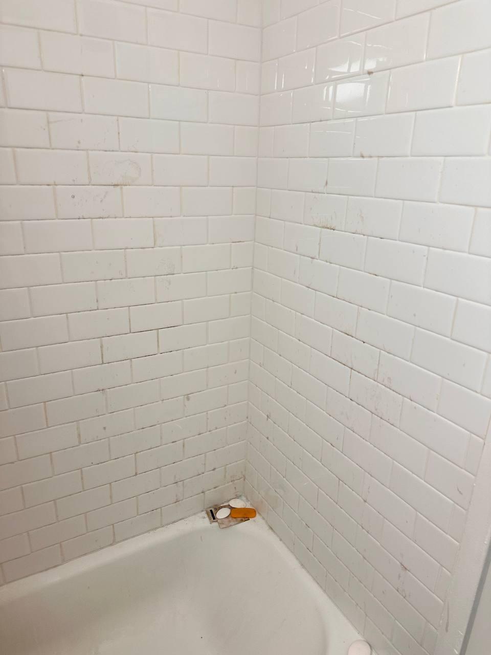 Shower tile & grout — before cleaning