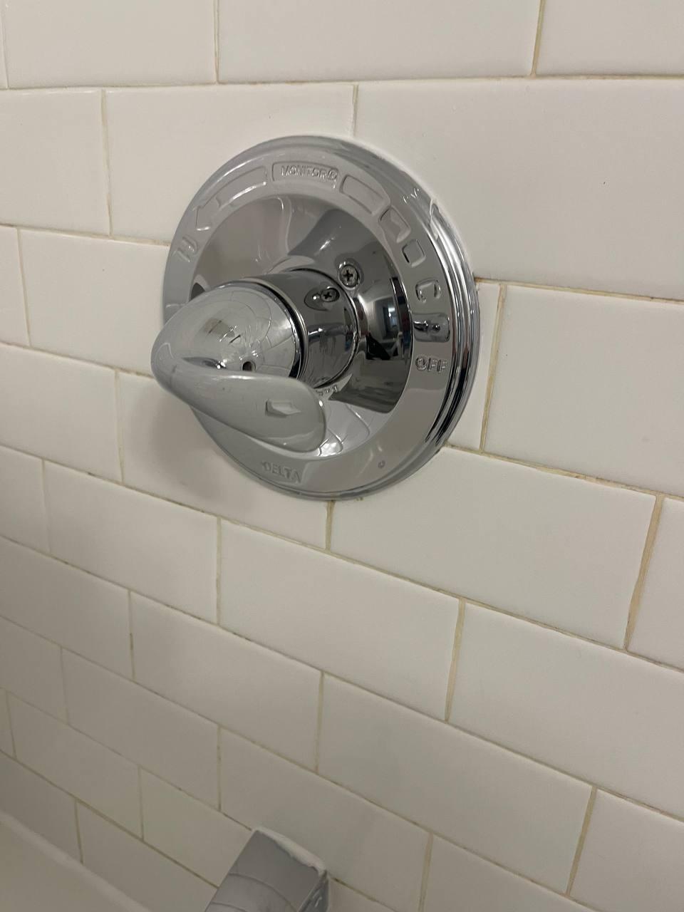 Shower fixture shine — after cleaning