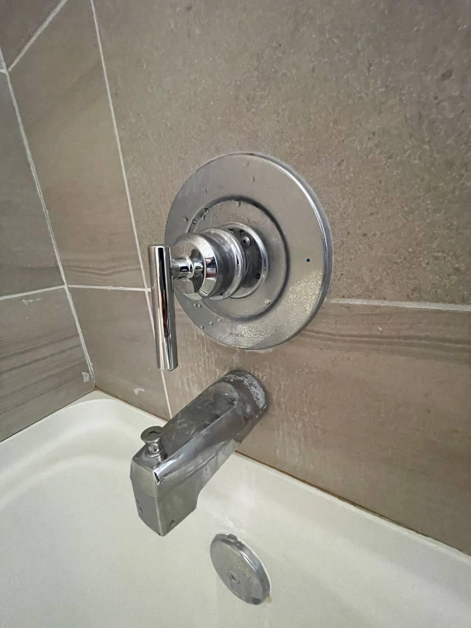 Tub fixture descale — before cleaning