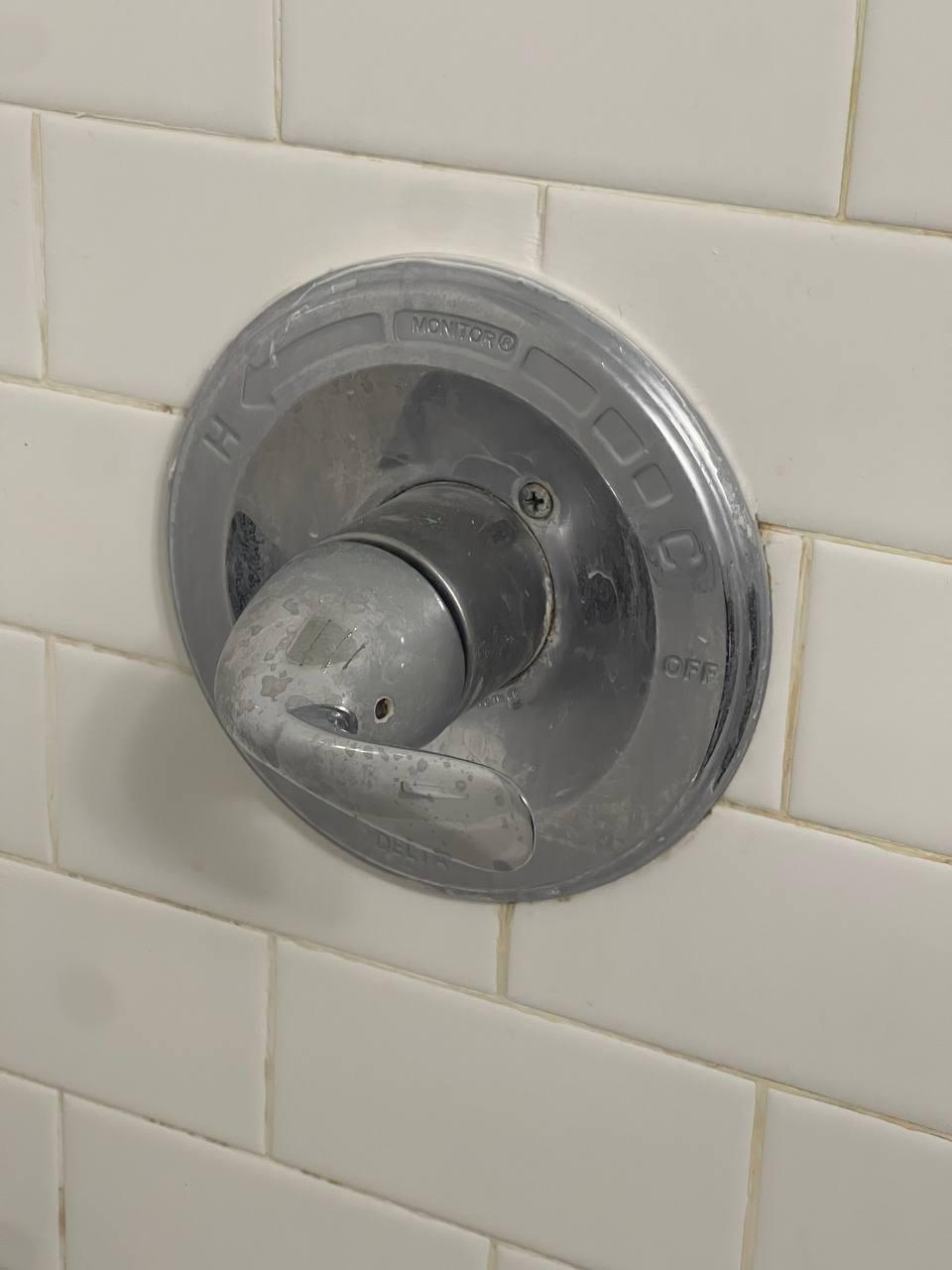 Shower fixture shine — before cleaning